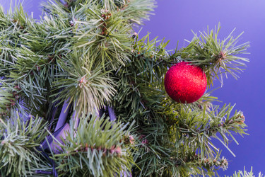 Similar image 21279728