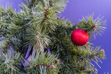 Similar image 21279733