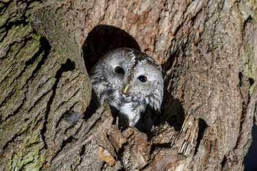 Similar image 21259291