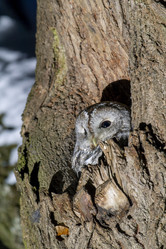 Similar image 21259292