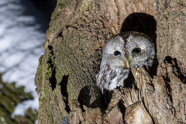 Similar image 21259293