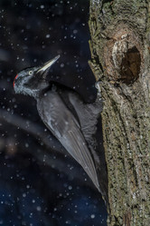 Similar image 21259294