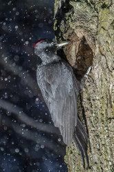 Similar image 21259640