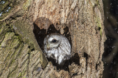 Similar image 21259644