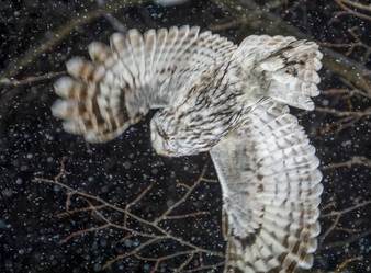 Similar image 21259646