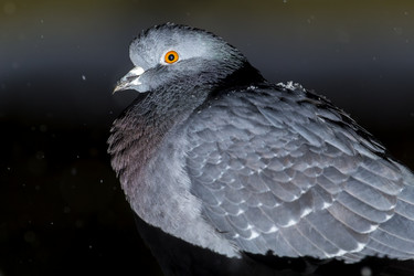 Similar image 21259654