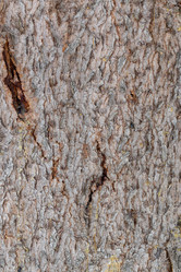 Similar image 21259296