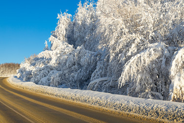 Similar image 21259305