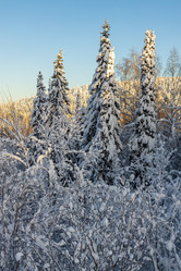 Similar image 21259306