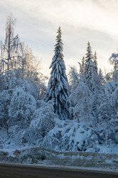 Similar image 21259308