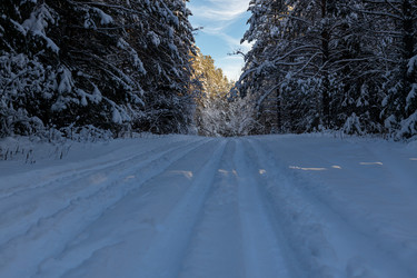 Similar image 21259309