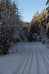 Similar image 21259310