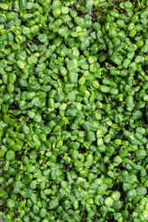 Similar image 21291879