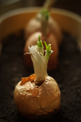 Similar image 21259318