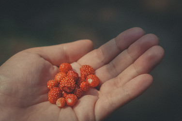 Similar image 21259319