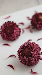 Similar image 21264451