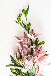 Similar image 21268293