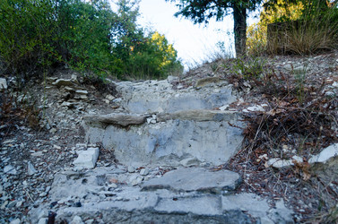 Similar image 21264457