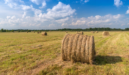 Similar image 21259659