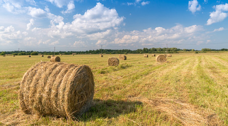 Similar image 21259660