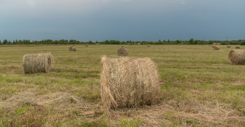 Similar image 21259663