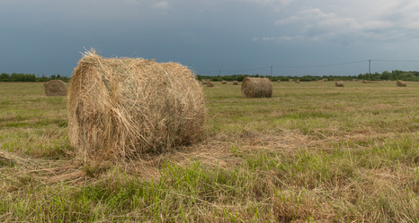 Similar image 21259665