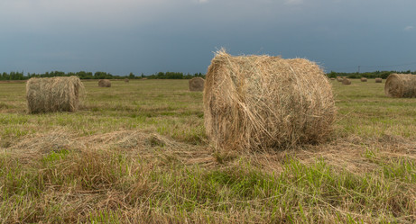 Similar image 21259668