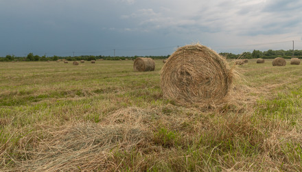 Similar image 21259669