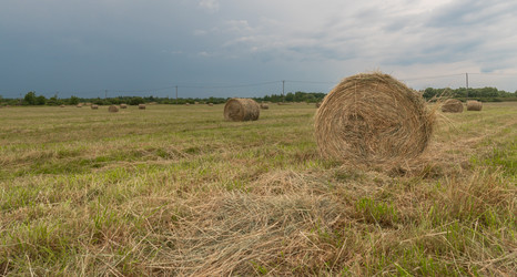 Similar image 21259670