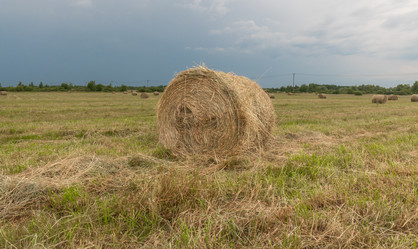 Similar image 21259671