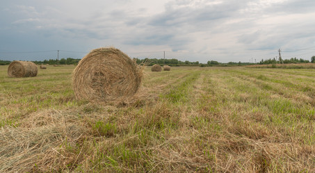 Similar image 21259673