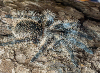 Similar image 21261220