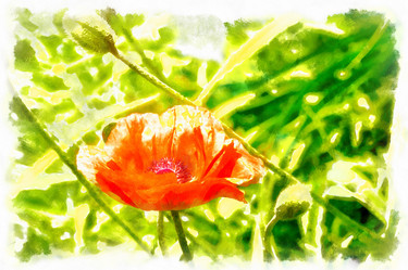 Similar image 21267370