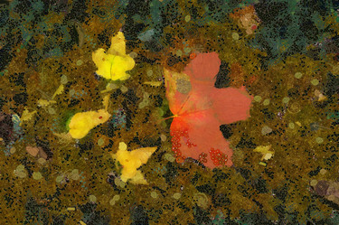 Similar image 21267379