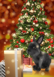 Similar image 21267381