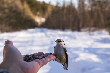 Similar image 21262457