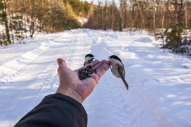 Similar image 21262458