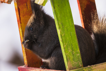 Similar image 21262459