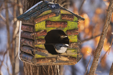 Similar image 21262460