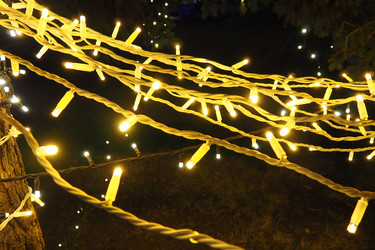 Similar image 21262941