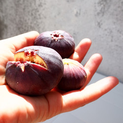 Similar image 21262960