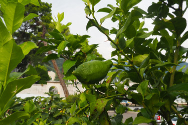 Similar image 21262962