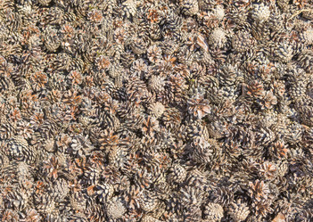 Similar image 21283151