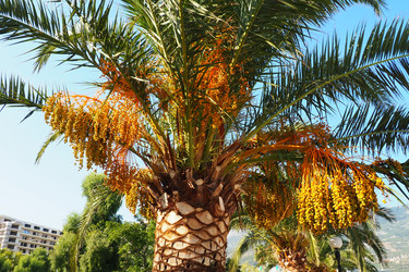 Similar image 21262964