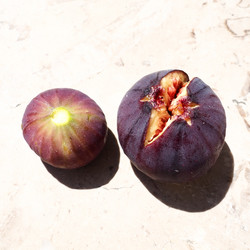 Similar image 21262965