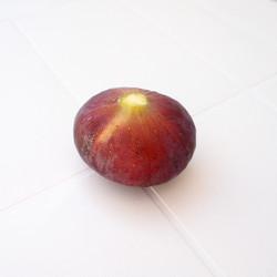 Similar image 21278295