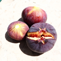 Similar image 21262968