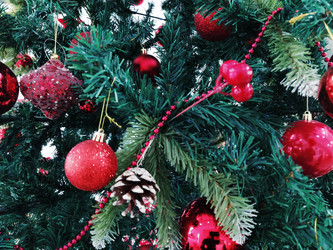 Similar image 21262975