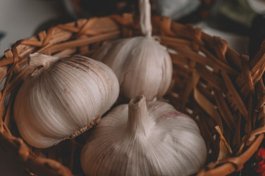 Similar image 21261224