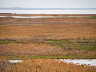 Similar image 21266394